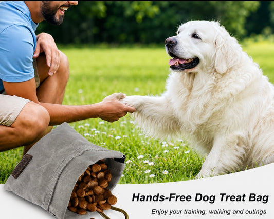 Training Treat Pouch