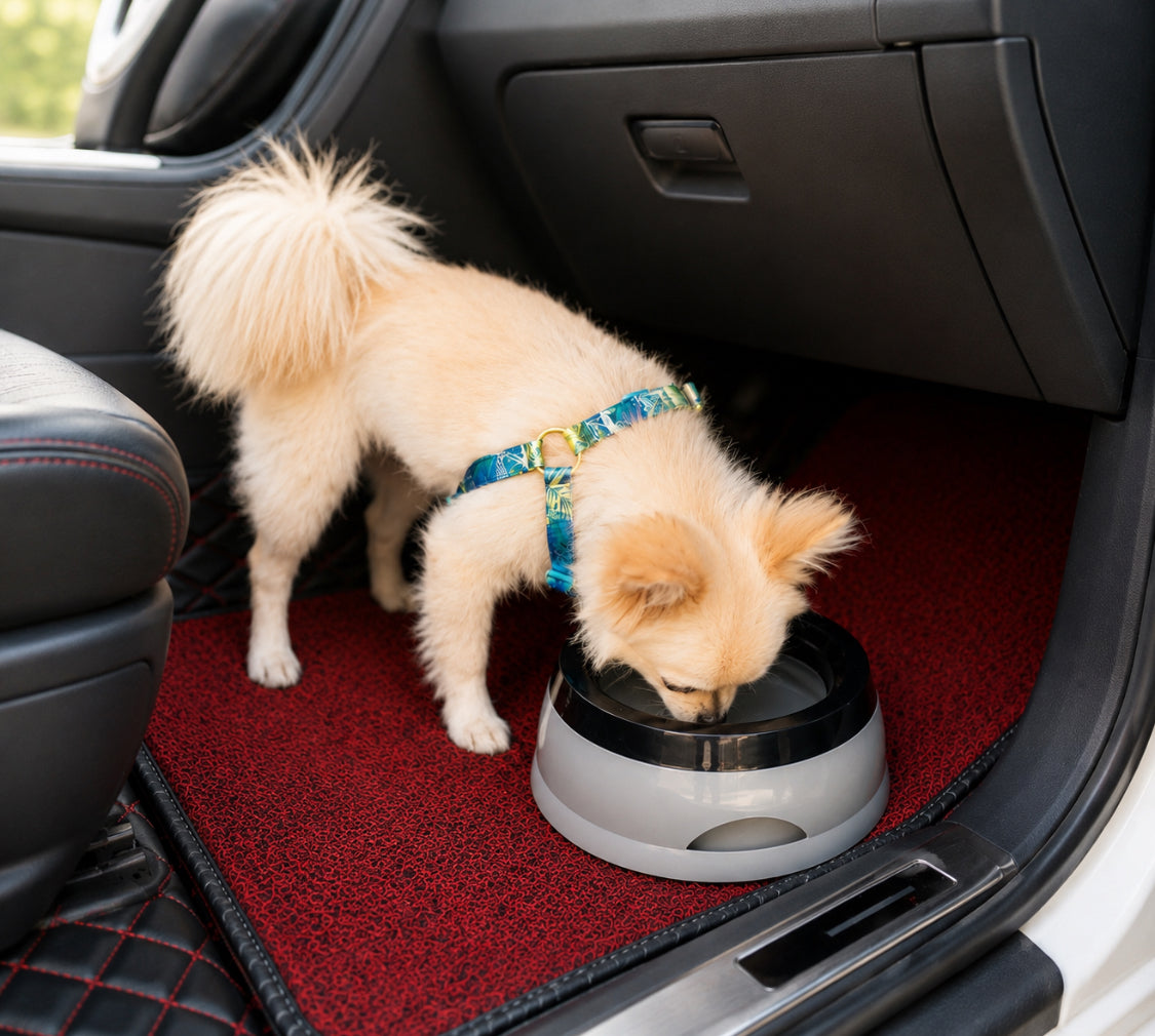 No-Spill Water Bowl