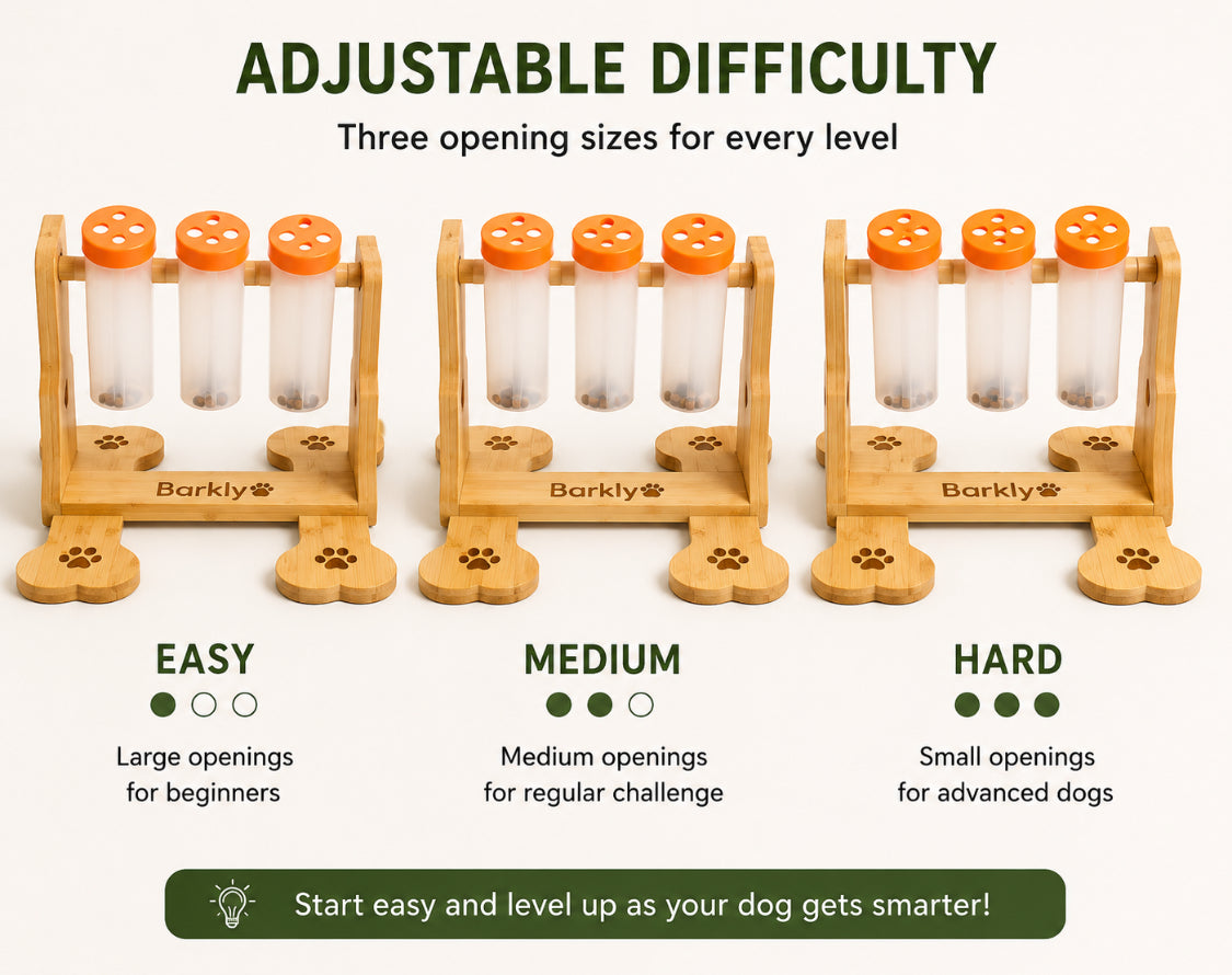 Puzzle Feeder Toy